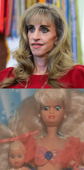 An image of Susan Dell above, a WTF reaction image of Barbie below.